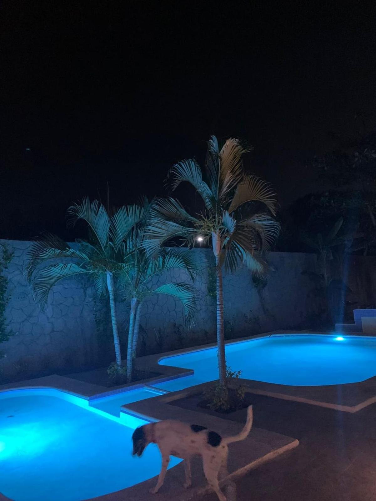 La Pucca Hotel Boutique Resort Penita de Jaltemba Εξωτερικό φωτογραφία